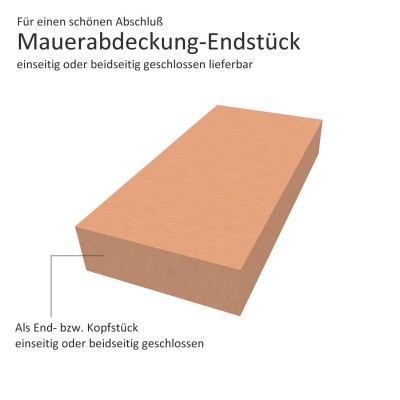 Click-Attika aus Edelstahl Natur Länge: 1,00 Meter für 28 cm Mauerbreite
