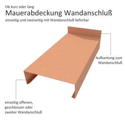 Click-Attika aus Edelstahl Natur Länge: 2,00 Meter für 40 cm Mauerbreite